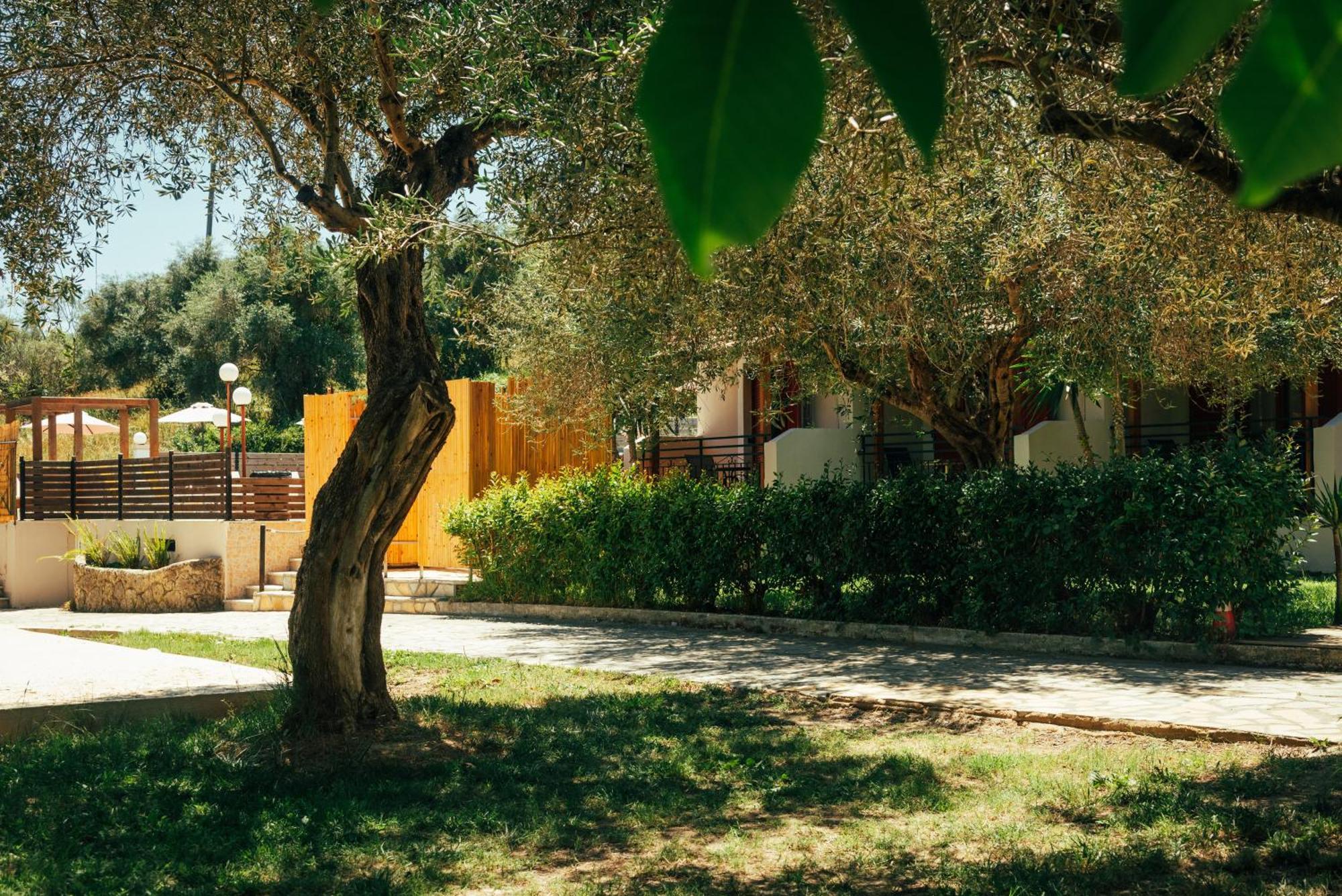 Kalypso Apartahotel