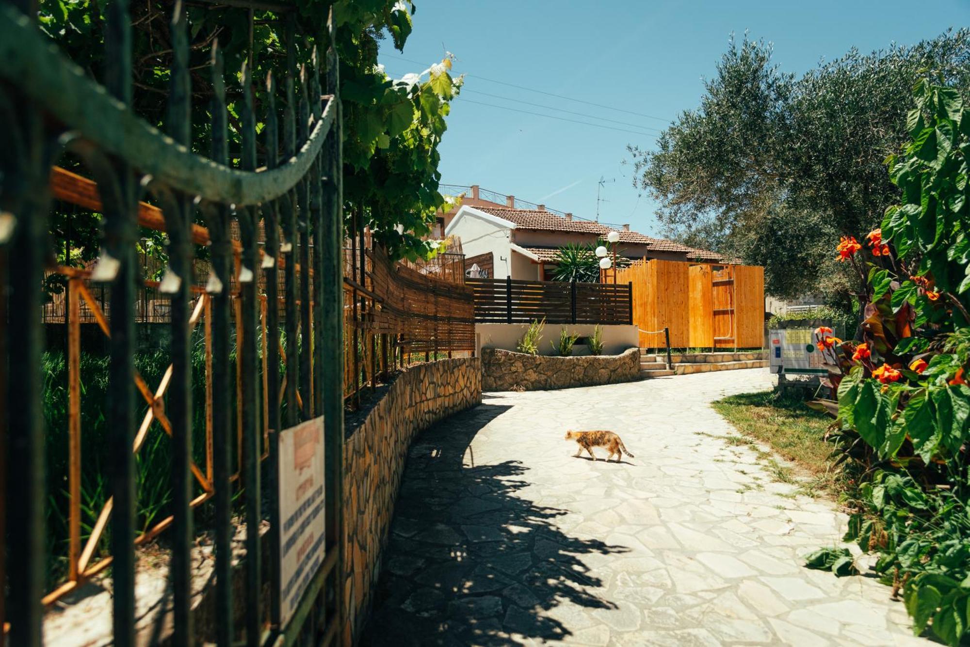 Kalypso Kávos